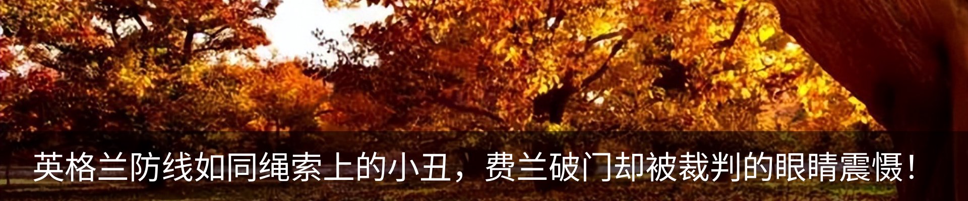 内页banner
